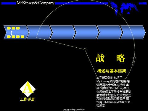 战略咨询培训手册ppt讲义