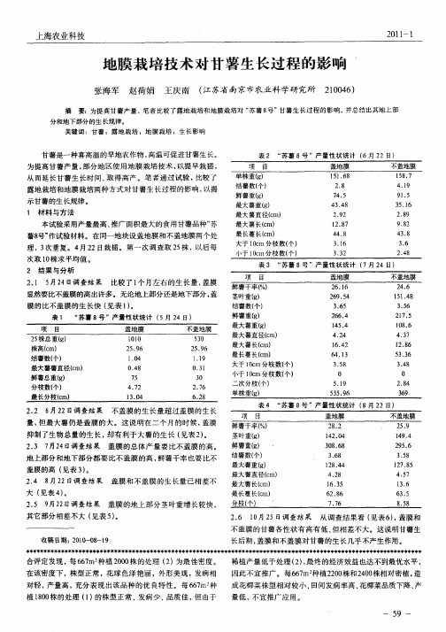 地膜栽培技术对甘薯生长过程的影响