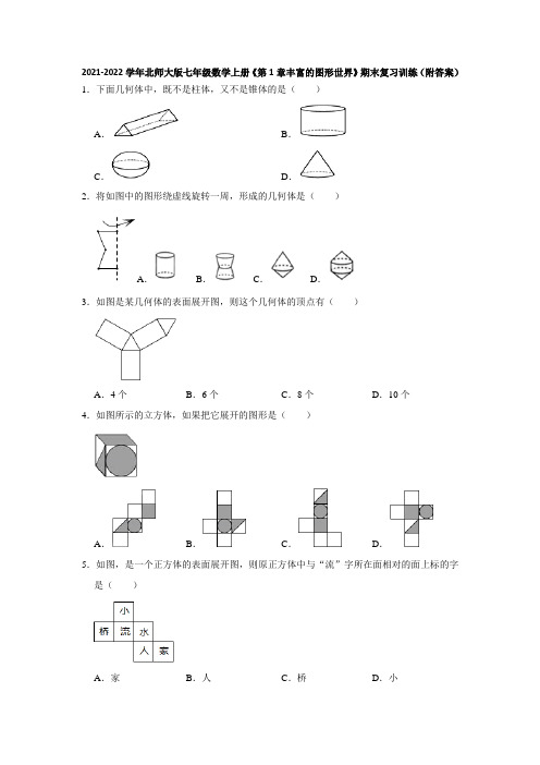 2021-2022学年北师大版七年级数学上册《第1章丰富的图形世界》期末复习训练(附答案)