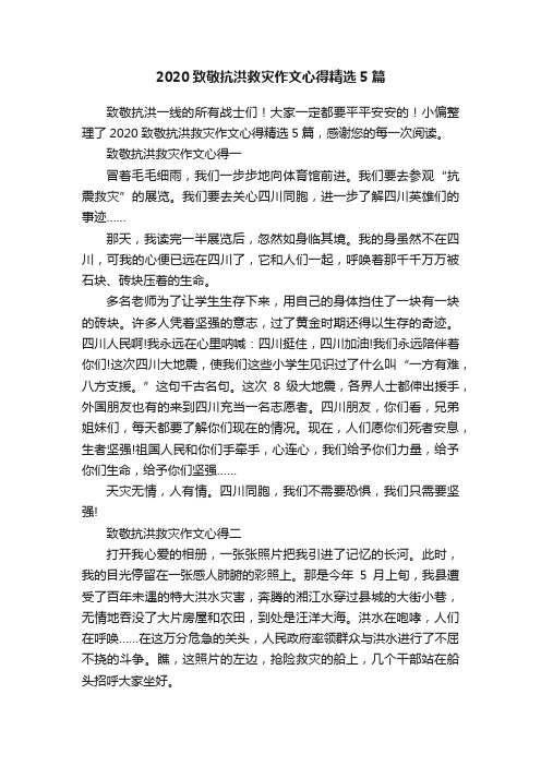 2020致敬抗洪救灾作文心得精选5篇