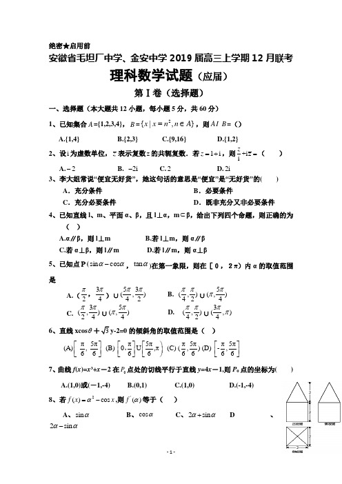 安徽省毛坦厂中学、金安中学2019届高三上学期12月联考试题+数学(理)