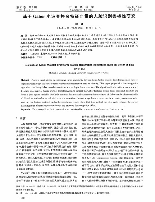 基于Gabor小波变换多特征向量的人脸识别鲁棒性研究