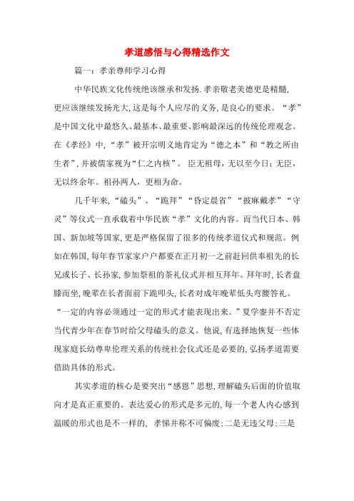 孝道感悟与心得精选作文