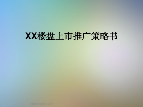 XX楼盘上市推广策略书