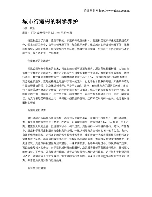 城市行道树的科学养护