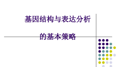 基因结构与表达分析.ppt