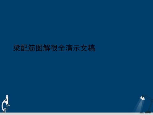 梁配筋图解很全演示文稿