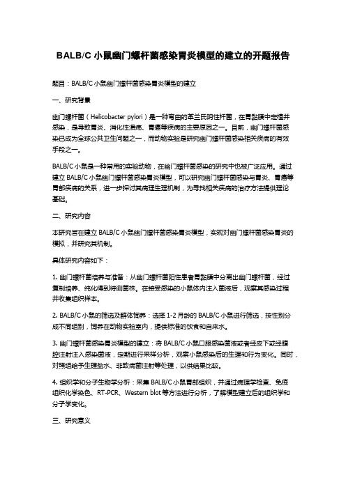 C小鼠幽门螺杆菌感染胃炎模型的建立的开题报告