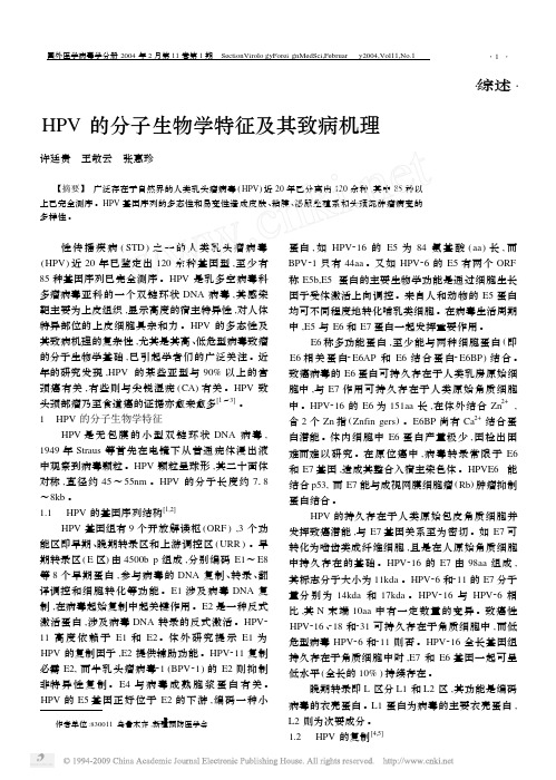 HPV的分子生物学特征及其致病机理