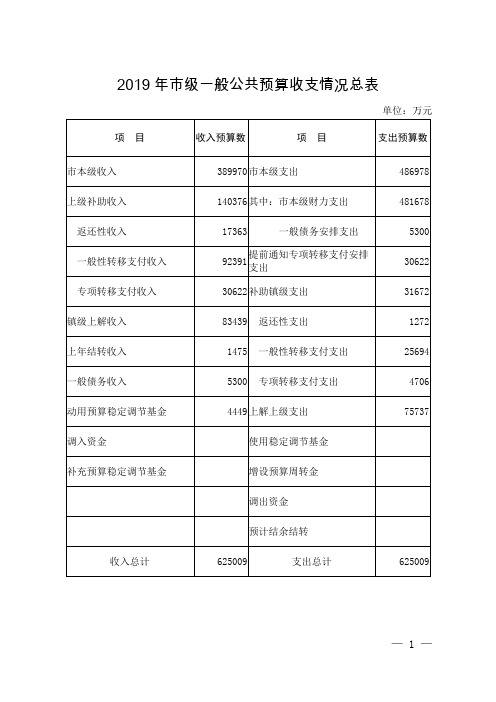 2019年级一般公共预算收支情况总表