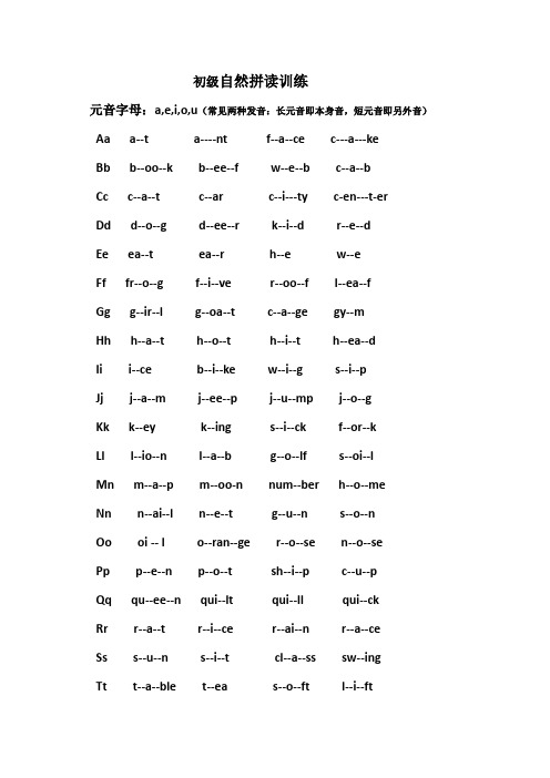 初级自然拼读训练(a,e,i,o,u)