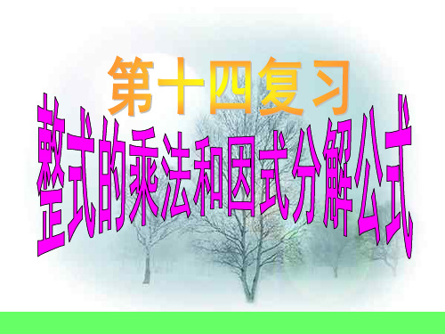 第十四章_整式的乘法与因式分解_复习课件