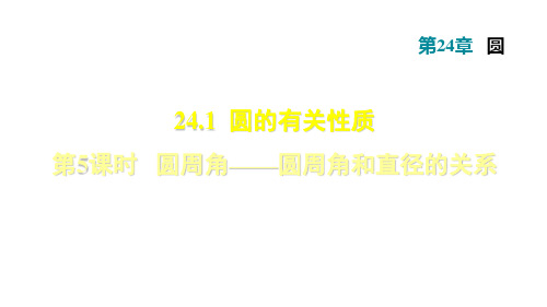 人教版九年级数学上册课件:第24章圆24.1.5 圆周角——圆周角和直径的关系(共31张PPT)
