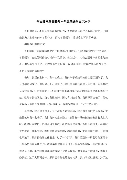 作文拥抱冬日暖阳六年级精选作文700字