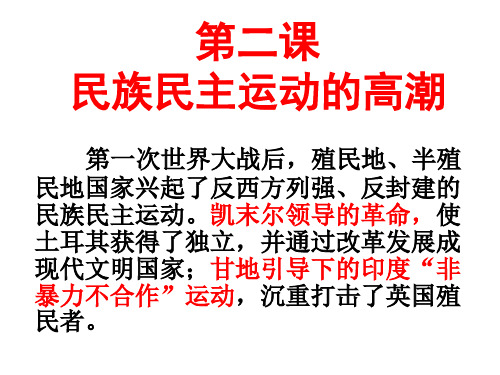 人教版九年级历史与社会上册土耳其凯末尔革命