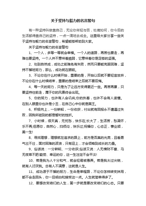 关于坚持与毅力的名言警句