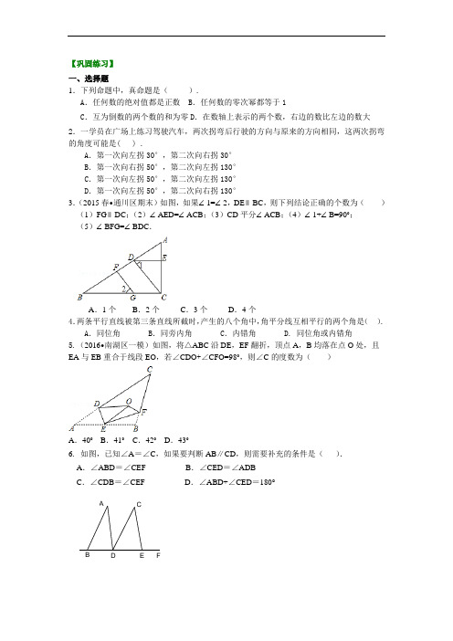 《平行线的证明》全章复习与巩固(提高)巩固练习