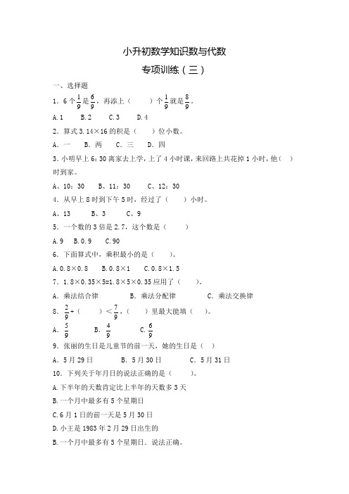 人教新课标六年级下册数学试题-2019小升初数学数与代数专项训练(含答案)