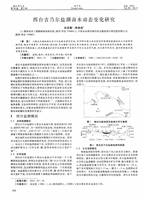 西台吉乃尔盐湖卤水动态变化研究