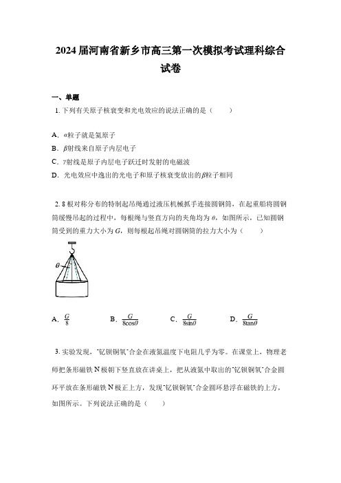 2024届河南省新乡市高三第一次模拟考试理科综合试卷