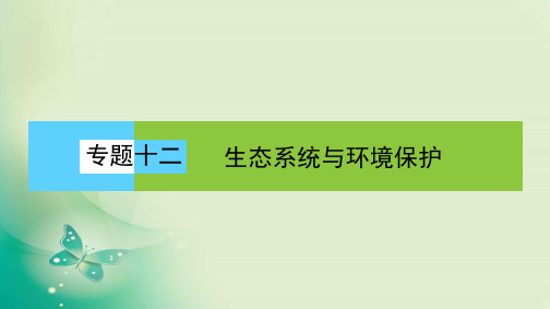 新高考二轮复习专题十二生态系统与环境保护课件(54张)