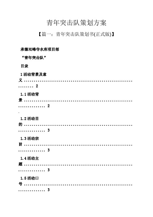 青年突击队策划方案