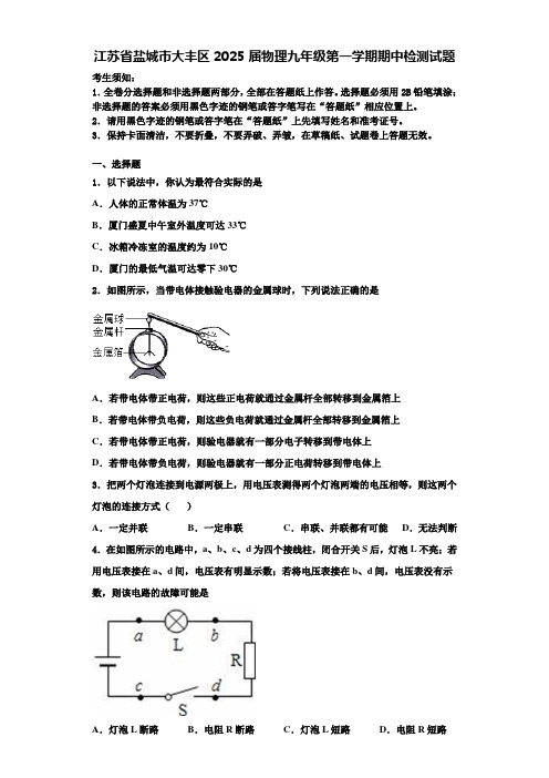 江苏省盐城市大丰区2025届物理九年级第一学期期中检测试题含解析