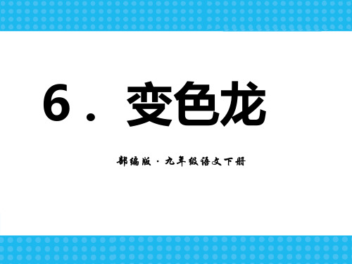 人教部编版九年级下册语文变色龙教学PPT课件