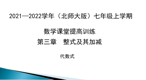 3.2 代数式  练习课件  北师大版七年级数学上册