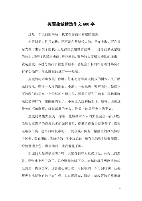 美丽盐城精选作文600字