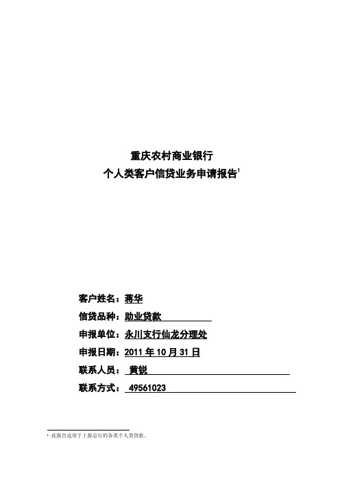 某商业银行个人类客户信贷业务申请报告