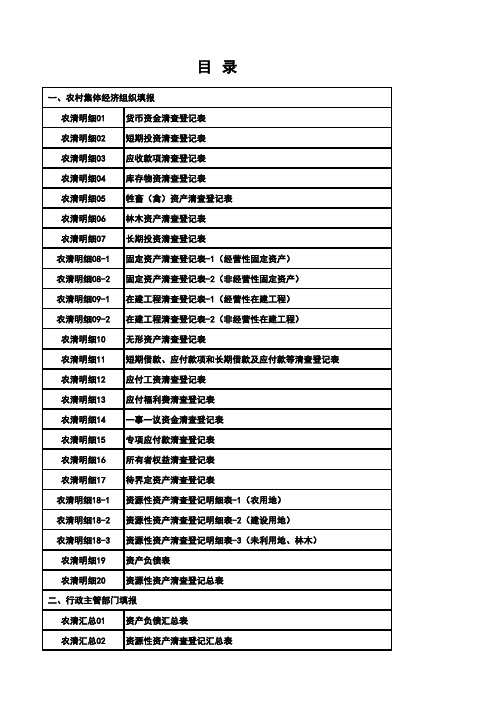 农村集体资产清产核资报表