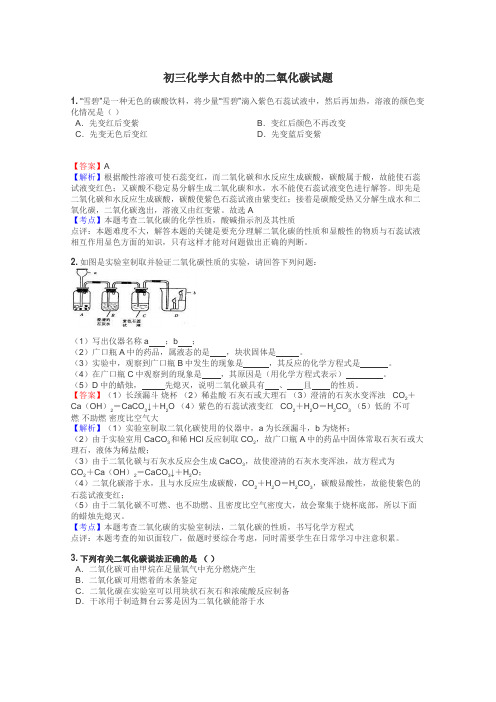 初三化学大自然中的二氧化碳试题
