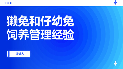 獭兔和仔幼兔饲养管理经验