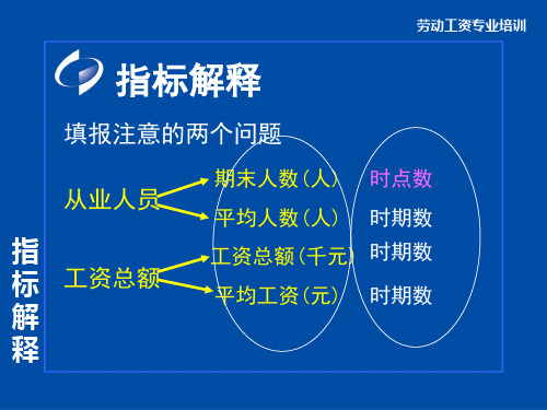 劳动工资指标解释