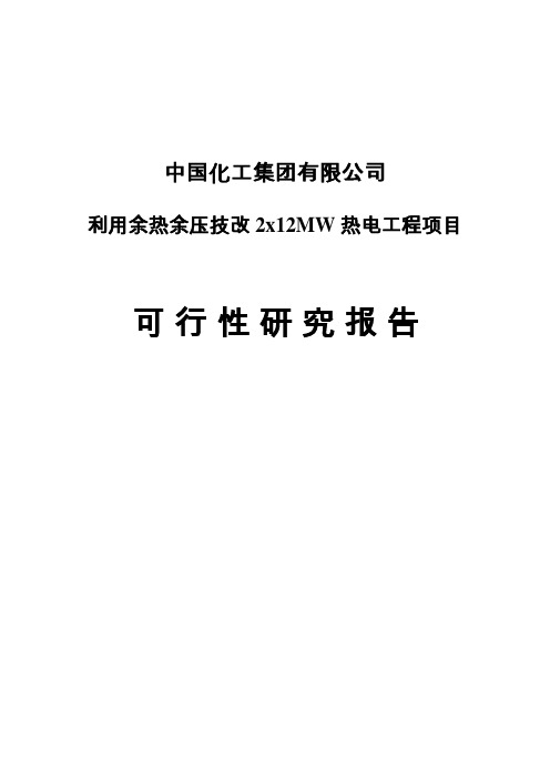 利用余热余压技改2x12MW热电工程项目可行性研究报告