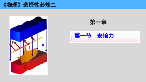 1.1安培力 课件-2024-2025学年高二下学期物理粤教版(2019)选择性必修第二册