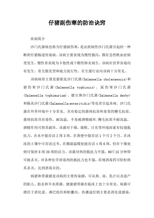 仔猪副伤寒防治诀窍