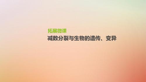 2019届高考生物一轮复习第4单元细胞的生命历程拓展微课减数分裂与生物的遗传变异课件