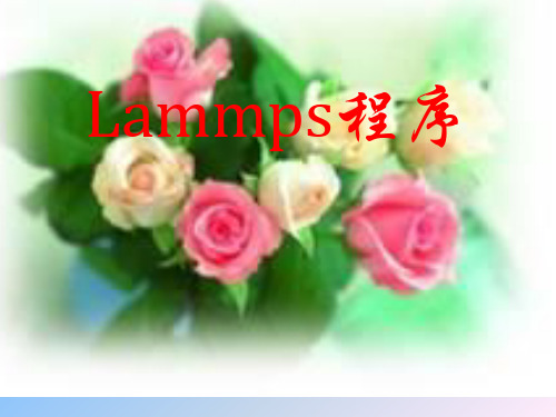 Lammps程序