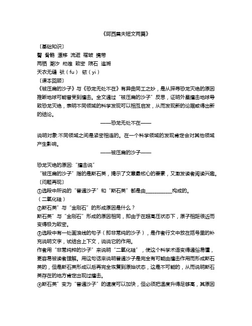 《阿西莫夫短文两篇》〔基础知识〕 