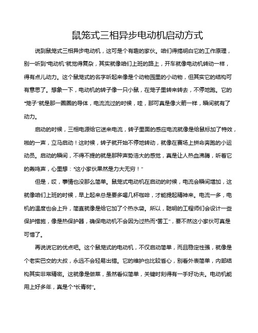 鼠笼式三相异步电动机启动方式