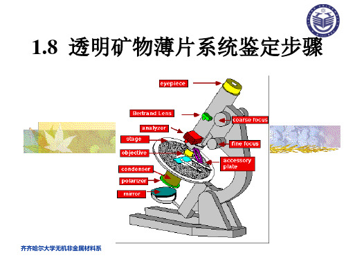 1[1].8透明矿物薄片系统鉴定步骤