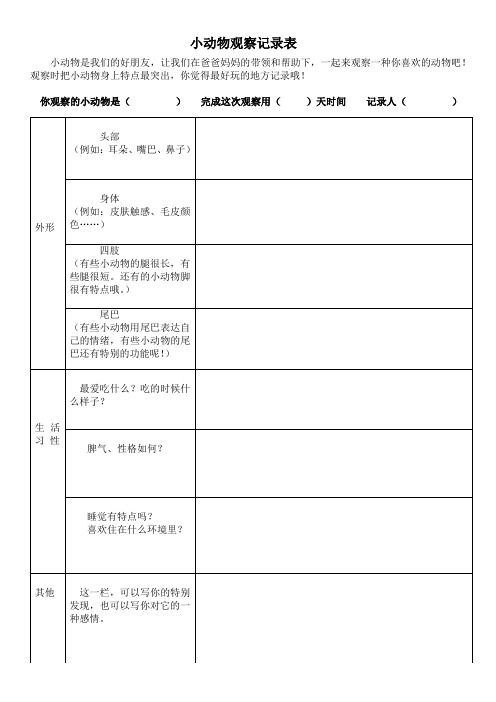 小动物观察记录表