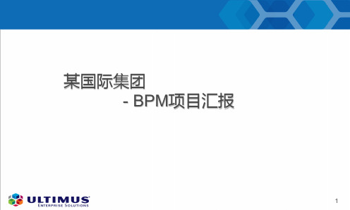 某集团BPM项目解决方案