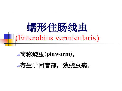 周蛲虫广州管圆线虫丝虫旋毛虫