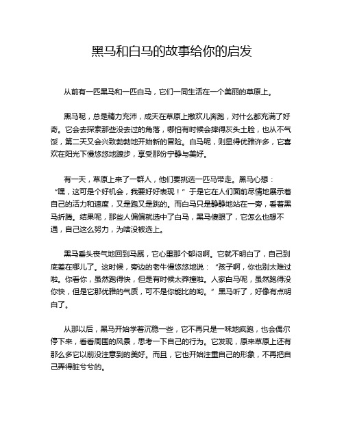 黑马和白马的故事给你的启发