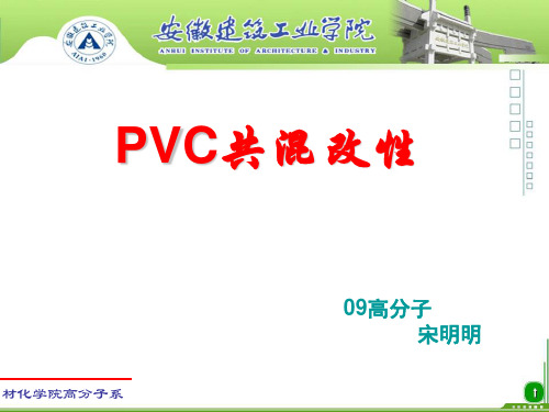 PVC共混改性  宋明明