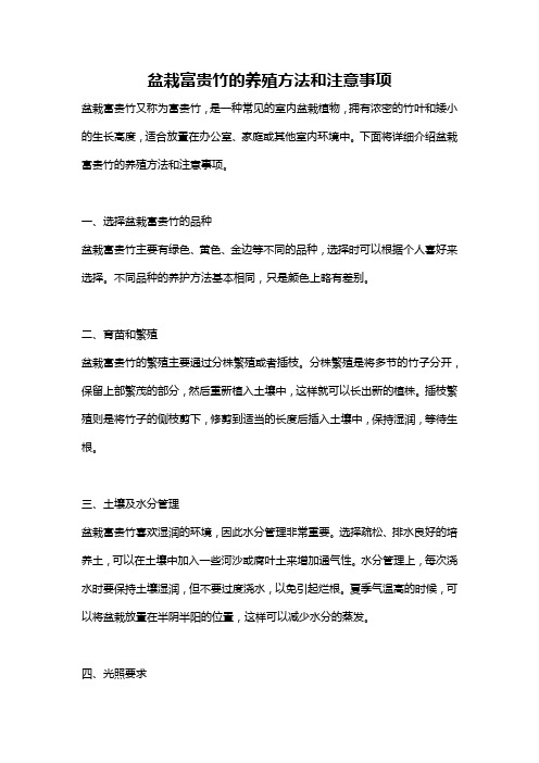 盆栽富贵竹的养殖方法和注意事项