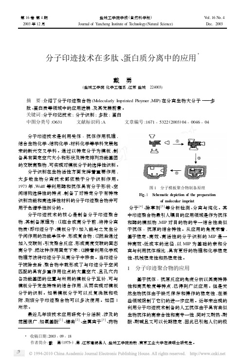 分子印迹技术在多肽_蛋白质分离中的应用